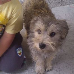 D 6932aedd 3abb 4907 b2c7 177c9374839c