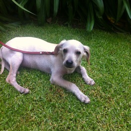 D 06972425 ae83 4c6c 832b a3279304e326