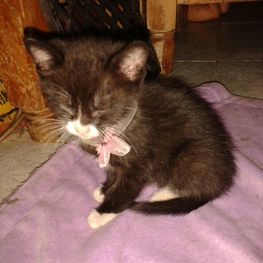 D 0e11072e aea4 49d7 a24e acf5d28961ed