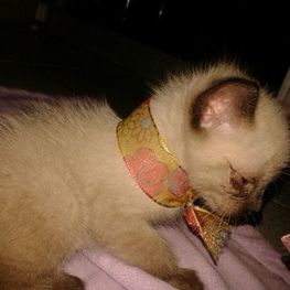 D 395be47f f216 4793 ba4f 3728ab63dee0