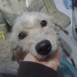 D 661ea49a cdc9 4a5c b69e 17edf4bb641e