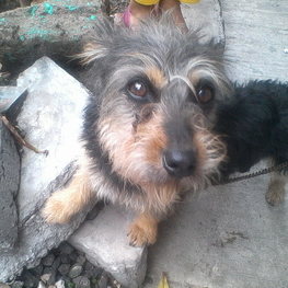 D b61c2366 fbf6 4017 9a08 2f8cea62abe3