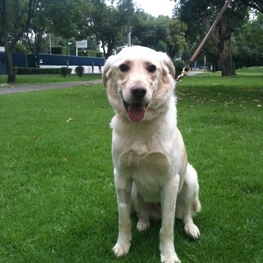 D c5813d85 cf8c 431b 8abb 543a1f7be103