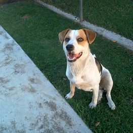 D 0fe43638 a8b8 4c89 b067 7f87ad3791d1