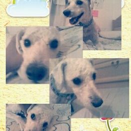 D c89690f3 7e97 4973 aa26 6cec35b48e88