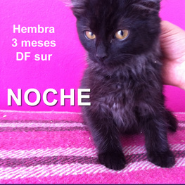 D 4dbb9653 ed44 4ca1 9748 9f7ef40a7a5f