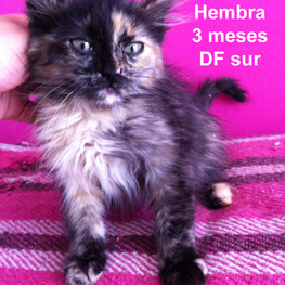 D 1205e76e 63e5 4781 a565 18e23262f399