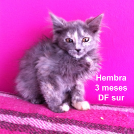 D f0c03099 f322 48a5 9c05 3f03c57b2f6d