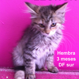 D a094eb66 140d 4f07 b2d1 3ded7e15a269