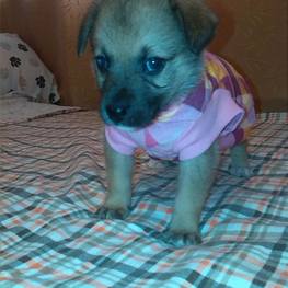 D a3ffc703 8142 47e0 8ad8 18e281d98983