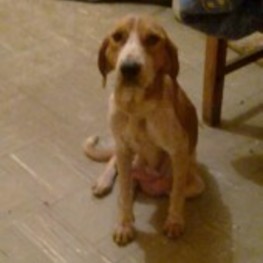 D dfd4cab9 7ac0 48f1 9ca6 dd7bc0a981fe