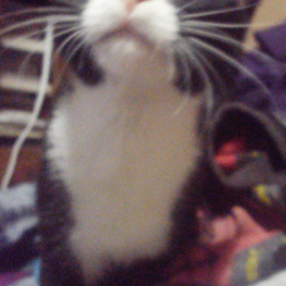 D 6d8537c4 e343 41fd bdc6 bd34473439a7