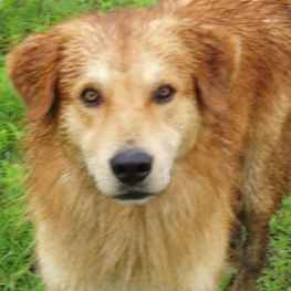 D f8e96553 cdfd 44c9 a965 10eb63d66cb2