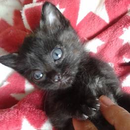 D b304da70 8310 4748 aa37 826f4e776d5e