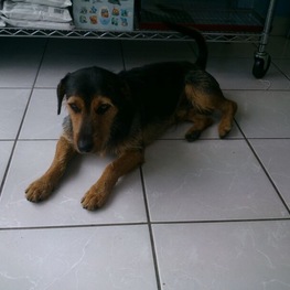 D dc92ecb2 6186 4f1d 8174 47739a567e7a