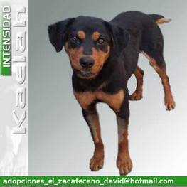 D fec04134 c529 4a05 ace2 4b0ed2722e89