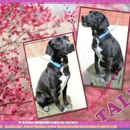 D db62451a 51f9 43a1 9208 65ab1d9477c3