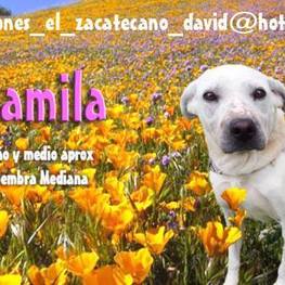 D 758e9663 6456 4f17 b008 bed60b552294