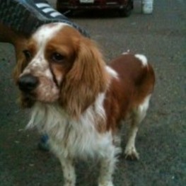 D bdad7674 dd7b 46f8 8490 ec05aa97c7aa