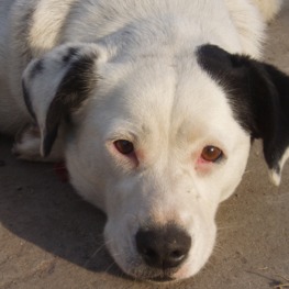 D 180a045b 002b 4c3a 8353 47b98b4fa25e