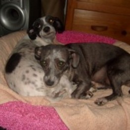 D 5db46d7b 0151 4134 8ca8 47d8f3b50700