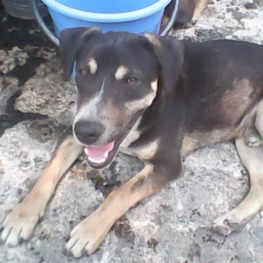 D b0e5bb1e 726b 43ee 85ca 30b1426d5f7c