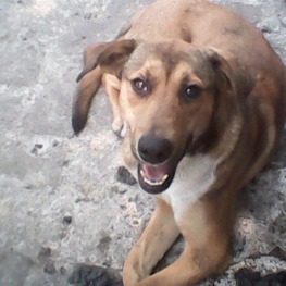 D 47261659 692d 49e2 8fac 7328bf4842da