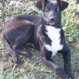 D 803f3f5a 6162 4f19 bf61 c2bda0f8fbb4