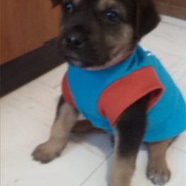 D fb625d0f 15da 4031 8aae 9a9f35740cda