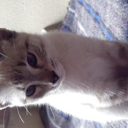 D b1381f0b 255c 4f95 b710 ee0978ffc7ee