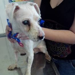 D 02c21c25 d1d8 42ea aae8 4bfaf421f177