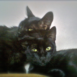 D 42643338 7fba 4126 900c 05759a643292