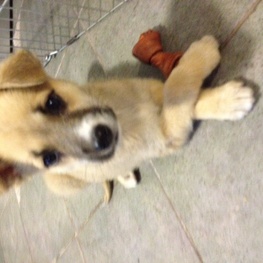 D 1fd295fd f8db 4e52 901a 06dba71768ac