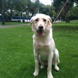 D c46a273e 49d6 4322 87dc 3a4ac5f48a13