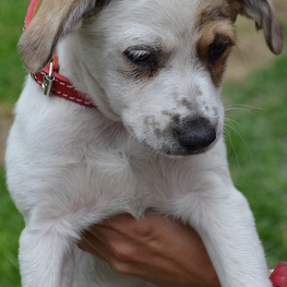 D 56248783 c95d 4654 930a 2c8bf1d278c4