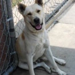 D b9c5fdec c146 4c43 bdd4 96272e72d1fe