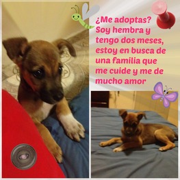 D dee2ab7a d5b5 4945 b000 0cd0f90a14ad