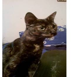 D 1fc12ffa 85a6 4059 be55 da750879b06f