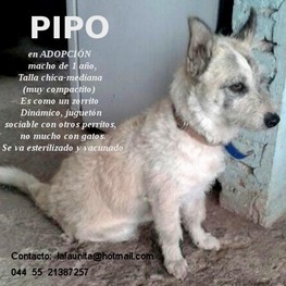 D 2cb61300 8817 4b2c 9b21 57ef56fd4902