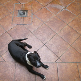 D 09814a6c 0bde 402f 8053 e78c7d6db9da