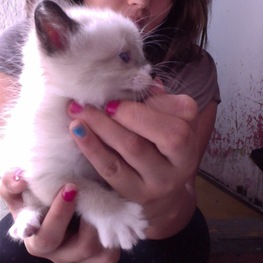 D 0d72af1e 4fca 445c 88c0 c71eacdd70a6