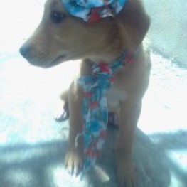 D 6038b95f 90bd 42ab 9459 cc67a568c096