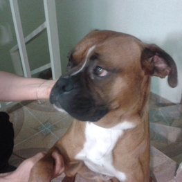 D 93771e26 e4ab 4af5 bcd4 01bebcaf3911