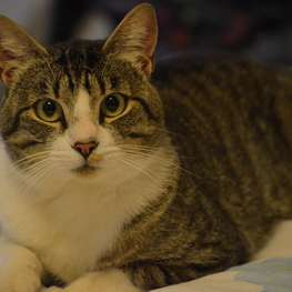 D ce64d12e 1a87 4043 bfd5 b8261eec8023