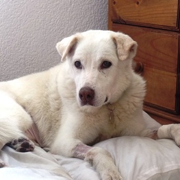 D 7eeb6844 7f59 4242 84be ba83763a2405