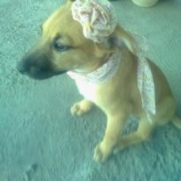 D f0e06b99 21fa 488f a7c0 137301c26f93