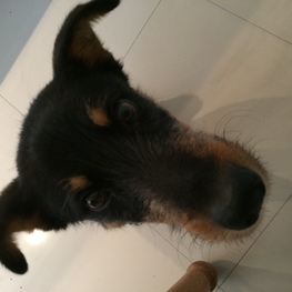 D 030b5cab ca30 423e 88d4 3759a6bf75f0