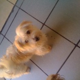 D 9e0ff478 ba15 422a 8854 fedfa8ff2a14