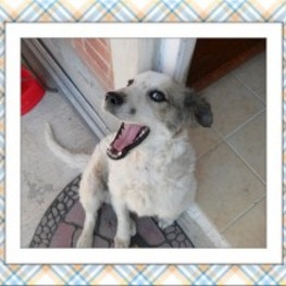 D b5ff6f1e a39b 4bd9 85bc 5da61064b7f6