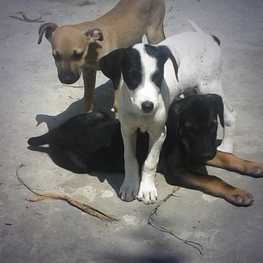 D 1404cff0 f246 41e2 ab88 bb532abe2130